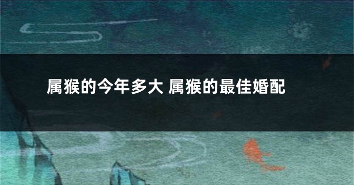 属猴的今年多大 属猴的最佳婚配
