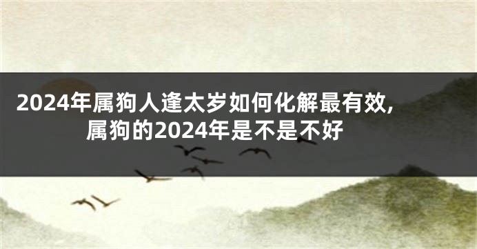 2024年属狗人逢太岁如何化解最有效,属狗的2024年是不是不好