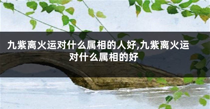 九紫离火运对什么属相的人好,九紫离火运对什么属相的好