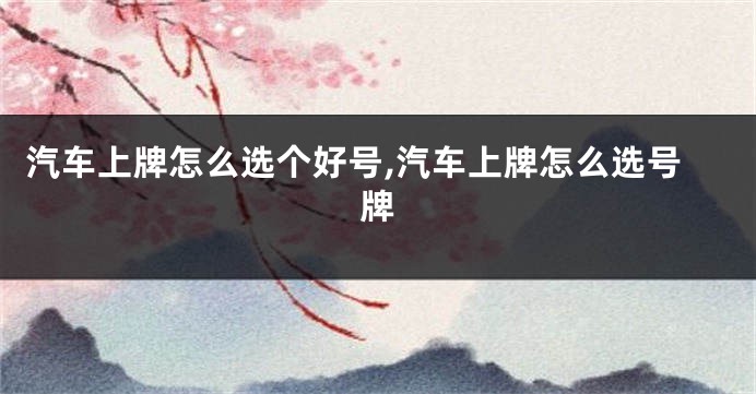 汽车上牌怎么选个好号,汽车上牌怎么选号牌