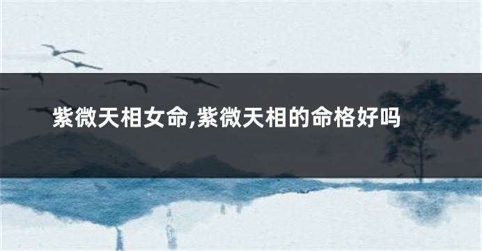 紫微天相女命,紫微天相的命格好吗