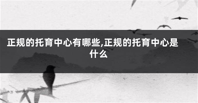 正规的托育中心有哪些,正规的托育中心是什么