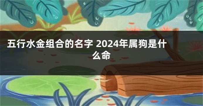 五行水金组合的名字 2024年属狗是什么命