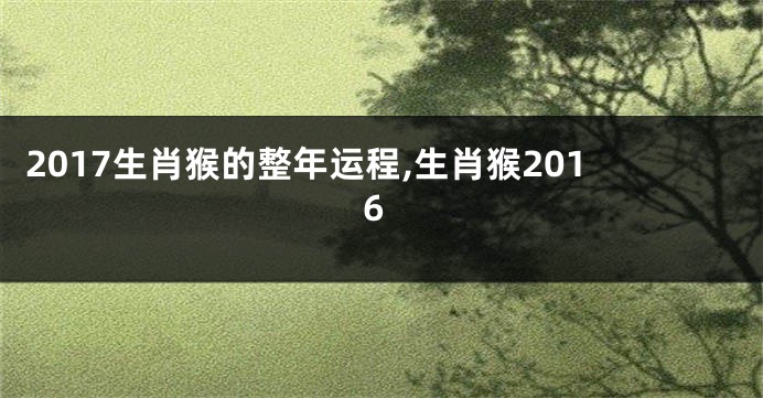 2017生肖猴的整年运程,生肖猴2016