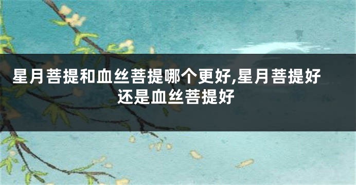 星月菩提和血丝菩提哪个更好,星月菩提好还是血丝菩提好