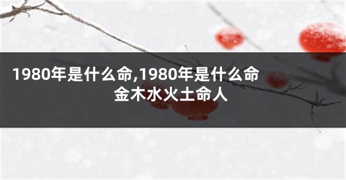 1980年是什么命,1980年是什么命金木水火土命人
