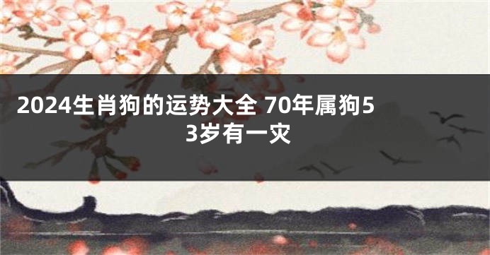 2024生肖狗的运势大全 70年属狗53岁有一灾