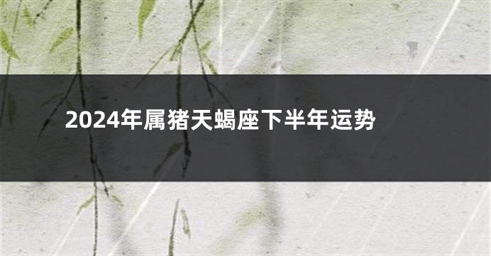 2024年属猪天蝎座下半年运势