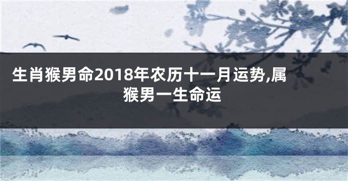 生肖猴男命2018年农历十一月运势,属猴男一生命运