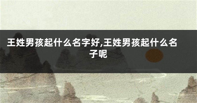 王姓男孩起什么名字好,王姓男孩起什么名子呢