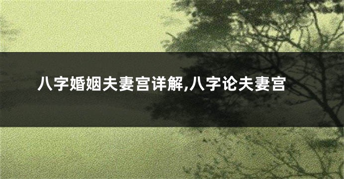 八字婚姻夫妻宫详解,八字论夫妻宫