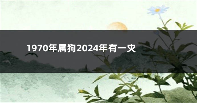 1970年属狗2024年有一灾