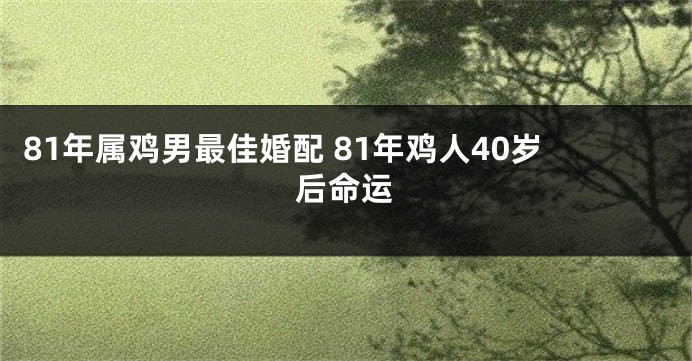 81年属鸡男最佳婚配 81年鸡人40岁后命运