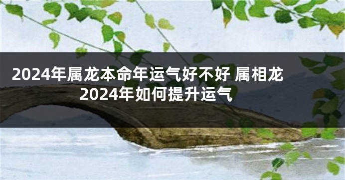 2024年属龙本命年运气好不好 属相龙2024年如何提升运气