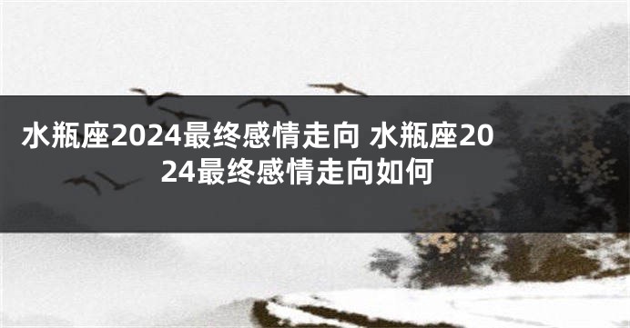 水瓶座2024最终感情走向 水瓶座2024最终感情走向如何