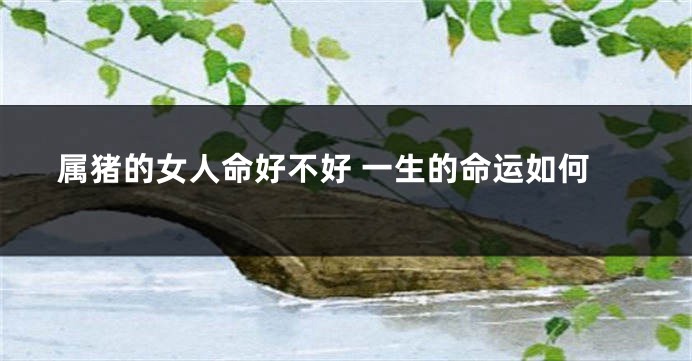 属猪的女人命好不好 一生的命运如何