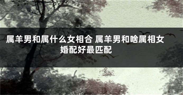 属羊男和属什么女相合 属羊男和啥属相女婚配好最匹配 