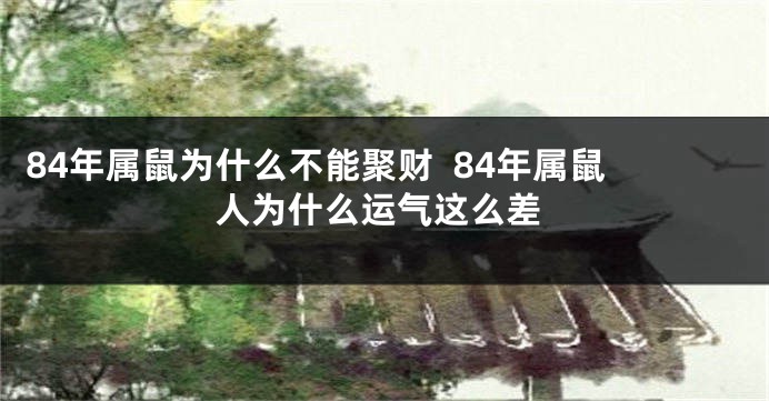 84年属鼠为什么不能聚财  84年属鼠人为什么运气这么差