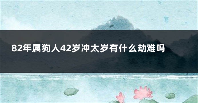 82年属狗人42岁冲太岁有什么劫难吗