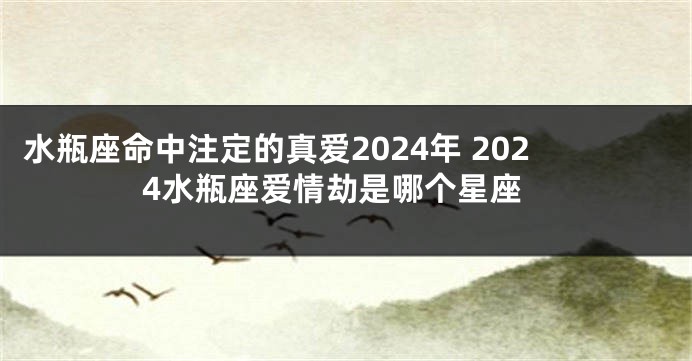 水瓶座命中注定的真爱2024年 2024水瓶座爱情劫是哪个星座