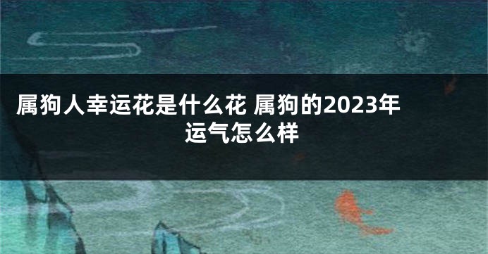 属狗人幸运花是什么花 属狗的2023年运气怎么样