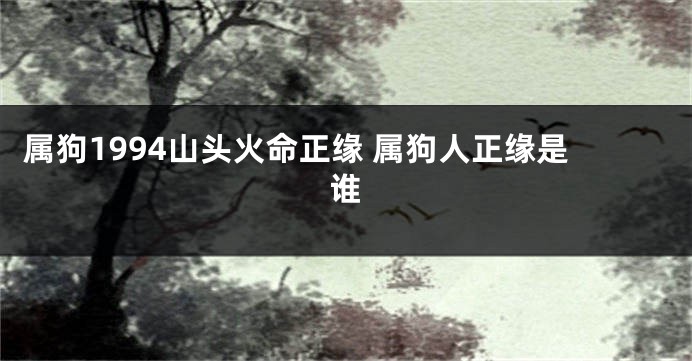属狗1994山头火命正缘 属狗人正缘是谁