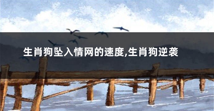 生肖狗坠入情网的速度,生肖狗逆袭