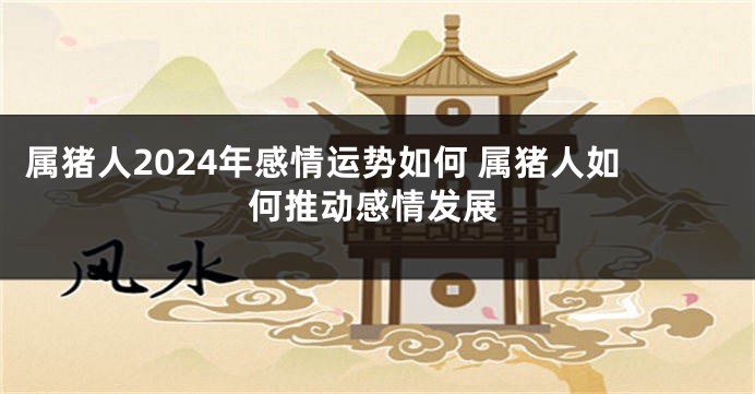 属猪人2024年感情运势如何 属猪人如何推动感情发展