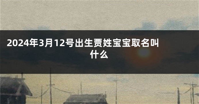 2024年3月12号出生贾姓宝宝取名叫什么