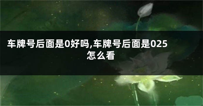 车牌号后面是0好吗,车牌号后面是025怎么看