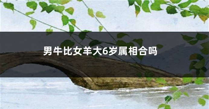 男牛比女羊大6岁属相合吗