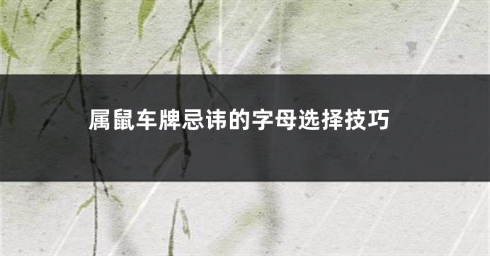 属鼠车牌忌讳的字母选择技巧