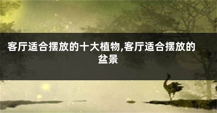 客厅适合摆放的十大植物,客厅适合摆放的盆景