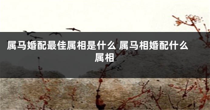 属马婚配最佳属相是什么 属马相婚配什么属相