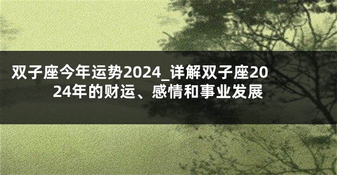双子座今年运势2024_详解双子座2024年的财运、感情和事业发展