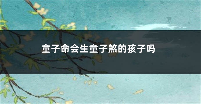 童子命会生童子煞的孩子吗