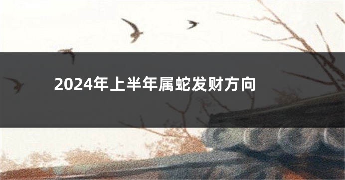 2024年上半年属蛇发财方向