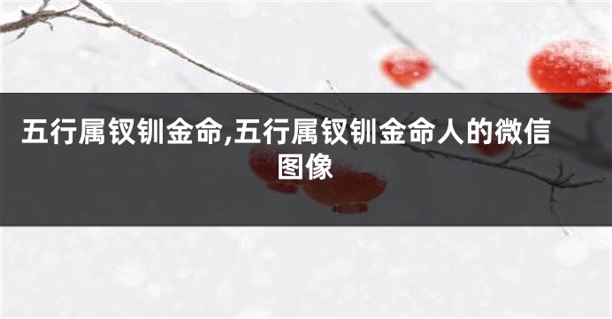 五行属钗钏金命,五行属钗钏金命人的微信图像