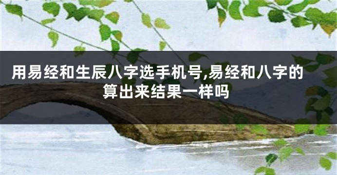 用易经和生辰八字选手机号,易经和八字的算出来结果一样吗