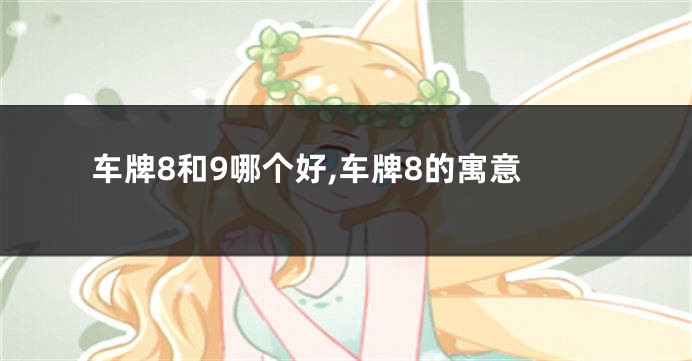 车牌8和9哪个好,车牌8的寓意