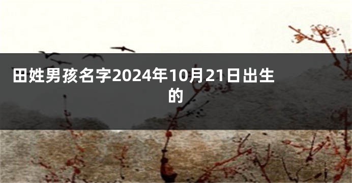 田姓男孩名字2024年10月21日出生的