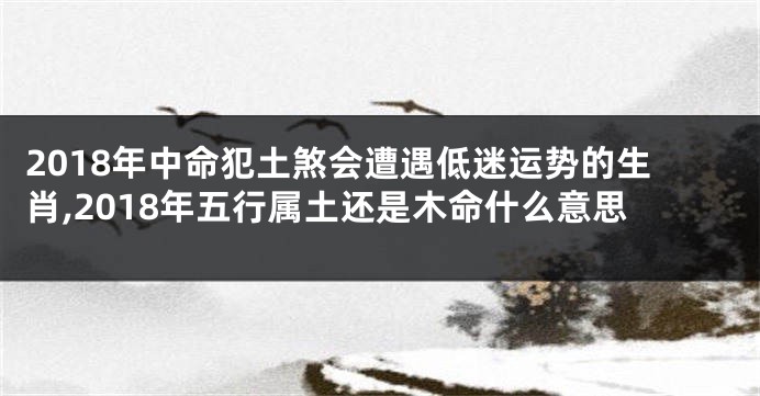2018年中命犯土煞会遭遇低迷运势的生肖,2018年五行属土还是木命什么意思