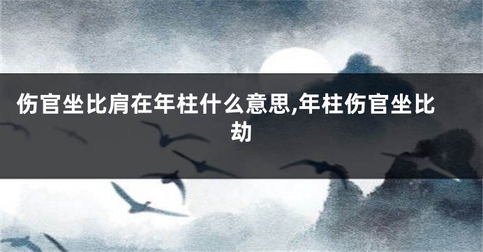 伤官坐比肩在年柱什么意思,年柱伤官坐比劫