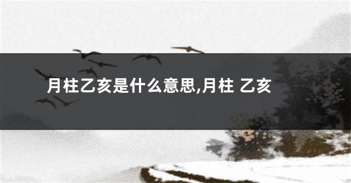 月柱乙亥是什么意思,月柱 乙亥