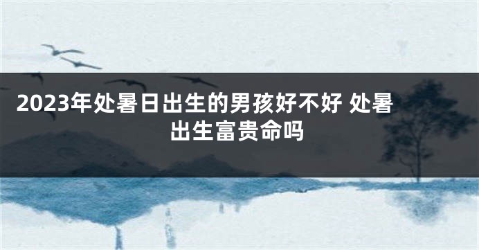 2023年处暑日出生的男孩好不好 处暑出生富贵命吗