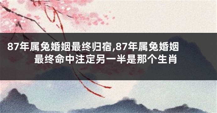 87年属兔婚姻最终归宿,87年属兔婚姻最终命中注定另一半是那个生肖