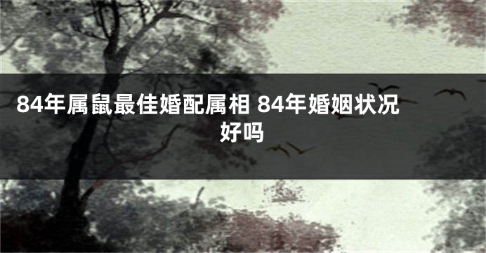 84年属鼠最佳婚配属相 84年婚姻状况好吗