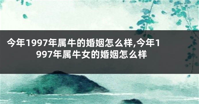 今年1997年属牛的婚姻怎么样,今年1997年属牛女的婚姻怎么样
