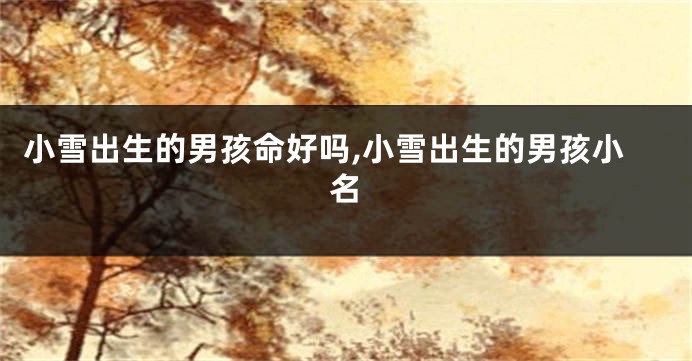 小雪出生的男孩命好吗,小雪出生的男孩小名