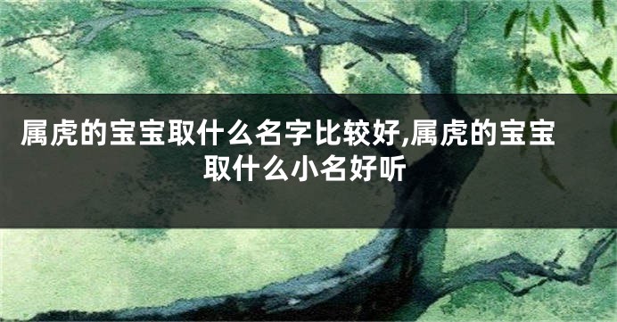 属虎的宝宝取什么名字比较好,属虎的宝宝取什么小名好听